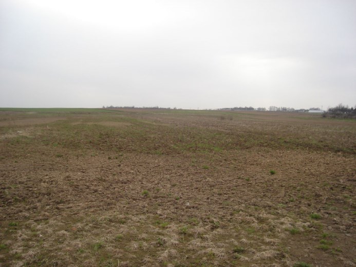BS3-GS-262356