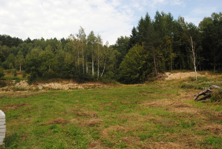 BS1-GS-273652