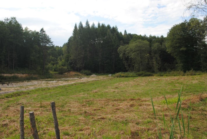 BS1-GS-273652
