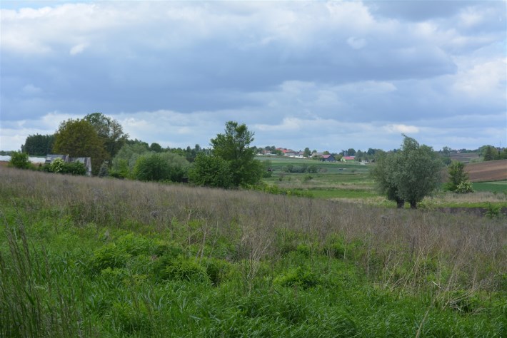 BS5-GS-286389