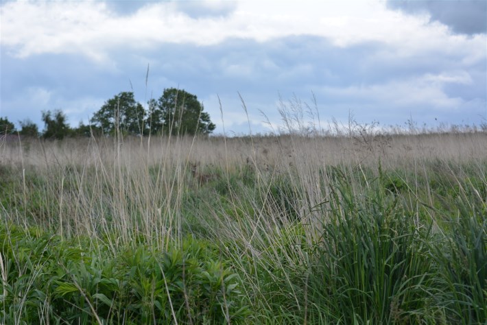BS5-GS-286389
