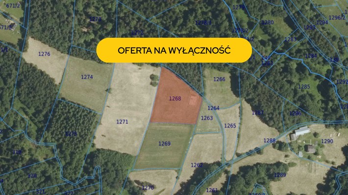BS5-GS-313444