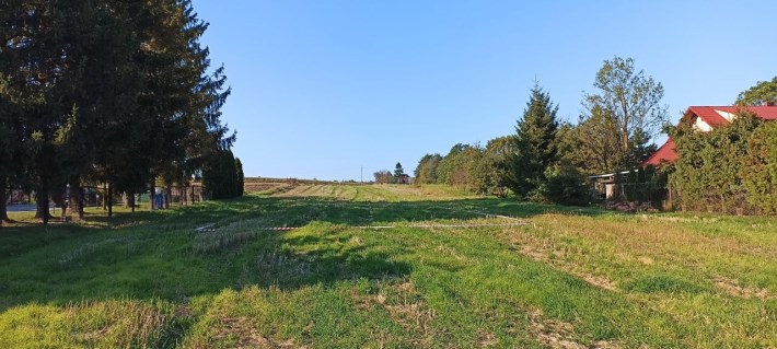BS1-GS-317454
