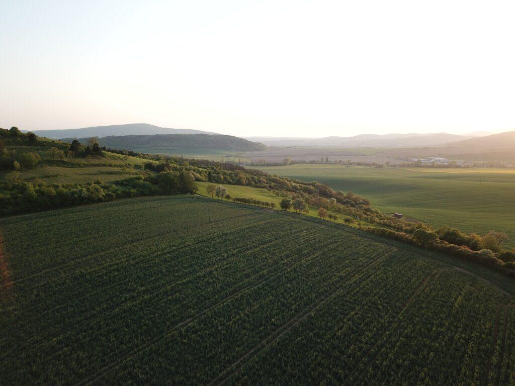 Zdjęcie dotyczące dom w Przebieczanach Zdjęcie dotyczące dom w Przebieczanach
