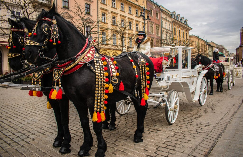 Zdjęcie dotyczące mieszkanie w Krakowie Zdjęcie dotyczące mieszkanie w Krakowie